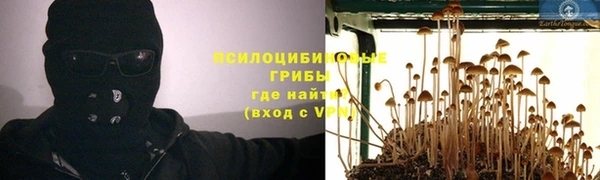 ALPHA PVP Алексин