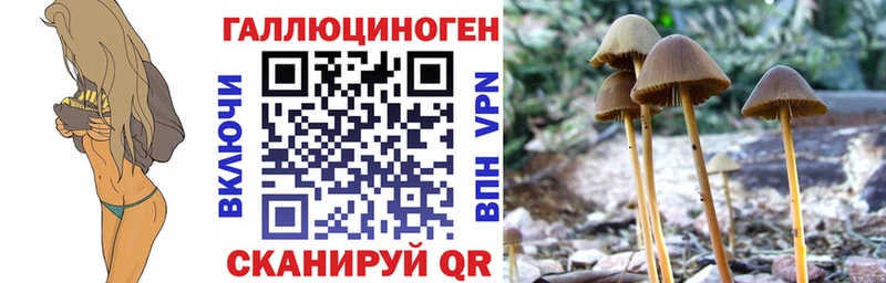 shop как зайти  как найти закладки  Нытва  Псилоцибиновые грибы мухоморы 